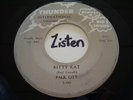 Rockabilly 45 Paul Ott Kitty Kat TEEN ROCK Rare Listen