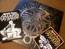 Order From Chaos 
