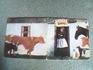 VASHTI BUNYAN Just Another Diamond Day ORIGINAL 1970