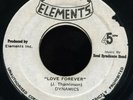 Dynamics - Love Forever (Bim Sherman) RARE 45 ??