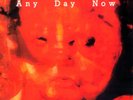 Legendary Pink Dots Any Day Now rare vinyl Lp As New