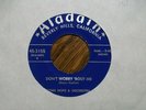 LYNN HOPE Don't Worry Bout Me RARE ALADDIN 45