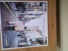 OASIS RARE CREATION LABEL, LP WHAT'S THE STORY