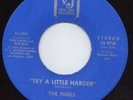 The Fidels - Try A Little Harder - Vee Jay Original