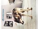 GRINDERMAN 2-LP/RECORD