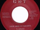 Unknown 70s Soul 45 - Greg Johnson 