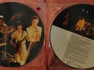 Limited Edition Collectors Vinyl Sid Vicious. Come on e