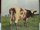Vintage PINK FLOYD LP Atom Heart Mother NM Vinyl