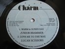 JUNIOR BRAMMER Warm & Sunny Day CHARM 12