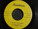 THE THUNDER ROCKS What's The Word ROCKABILLY 45 *LISTEN