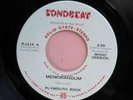 PLYMOUTH ROCK Memorandum SONOBEAT Texas PSYCH fuzz 45