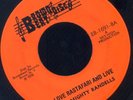 BROWN BEAT DISCO REGGAE 45 LOVE RASTAFARI AND LIVE THE MIGHTY RANDELLS sky high?