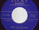 ROCKABILLY NELSON YOUNG *ROCK OLD SPUTNICK* LUCKY 1958