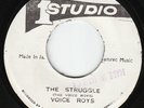 Viceroys - The Struggle - ROOTS KILLER ???