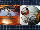 CIRCA SURVIVE JUTURNA PICTURE DISK **RARE**