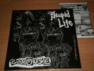 CONFUSE Stupid Life 12