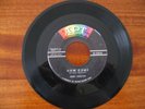 NORTHERN POPCORN SOUL Bobby Hamilton HOW COME APT 45