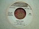 Jimi Hendrix Purple Haze Wind Cries Mary REPRISE DJ 45