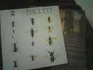Syd Barrett's Albums Barrett and The Madcap laughs