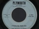 GARAGE, RNR 45 - ROCKIN' RAMRODS - PLYMOUTH 2961