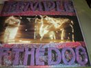 Temple of the Dog self titled debut LP NEW EU color