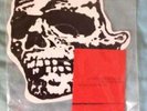 Jerome's Dream/Orchid Skull 10