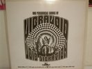 VIBRAVOID - VOID VIBRATION / LP / Nasoni NR 020