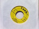 THE CASTAWAYS liar liar / sam 7