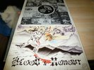 Blood & Honour LP ISD Skinhead RAC Oi Rock O Rama