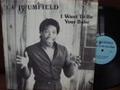La Brumfield RARE Modern Soul private press LP