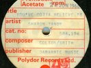 SHARON TANDY*YOU'VE GOTTA BELIEVE IT*DEMO MOD*LISTEN