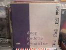 Deep Puddle Dynamics-The Taste Of Rain...Why Kneel 2xLP