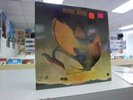 RARE BIRD Rare Bird ABC PROBE FACTORY SEALED