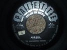 TITTY SHAKER SURF 45/ THE CONTINENTAL COUSINS 