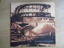 Red House Painters - Rollercoaster LP - Double Vinyl