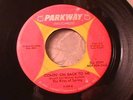 THE RITES OF SPRING Rare GARAGE PSYCH FUZZ DJ 45 HEAR