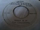 The Consumates What Is It Coxsone 7