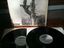 Whipping Post - 