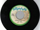 ROOTS  ROCKERS  REGGAE  by    JUNIOR  MERVIN     LISTEN