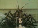 BIRTH CONTROL - OPERATION (RARE OHR 2nd PRESS GER. LP)