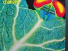 CATAPILLA changes LP '72 Vertigo 6360 074 D ORIGINAL