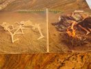WARM DUST-peace for our time