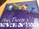 PINK FAIRIES Neverneverland EARLIEST 1st Press PVC RARE