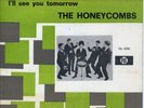 The HONEYCOMBS - I don't love you. Rare HOLLAND 7