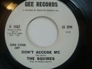 THE SQUIRES - Don't Accuse Me - GEE DEMO