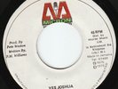 Prince Far I - Yes Joshua - WICKED ROOTS ???