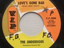 Garage Psych UNDERDOGS Love's Gone Bad HEAR