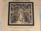 Lemon Kittens the Big Dentist LP Danielle Dax Uk orig