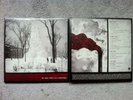 Third Man Records Vault #8 Jack White Stripes + extra