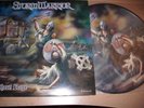 STORMWARRIOR-NORTHERN RAGE  / PICTURE LP  /  RAR 